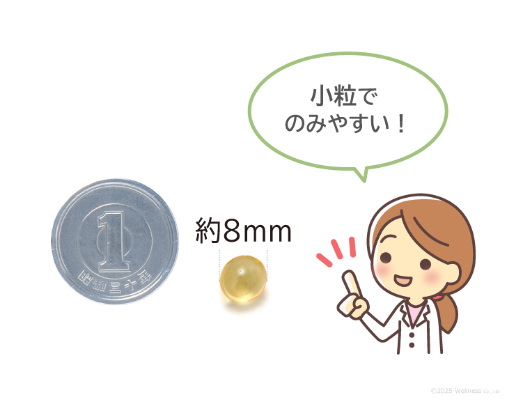 46%のDHA&EPAは直径約8mm、小粒でのみやすい。一円玉と比較。