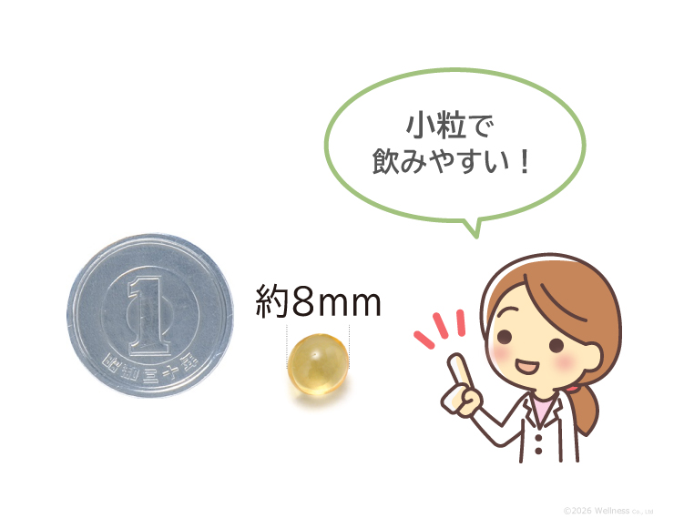 46%のDHA&EPAは直径約8mm/小粒で飲みやすい/一円玉と比較