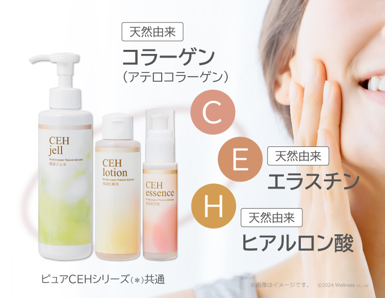 天然由来コラーゲン（アテロコラーゲン）／天然由来エラスチン／天然由来ヒアルロン酸配合／ピュアCEHシリーズ共通