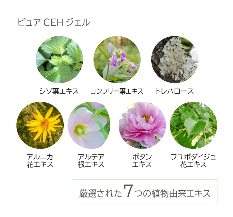 ピュアCEHジェルの厳選された７つの植物成分