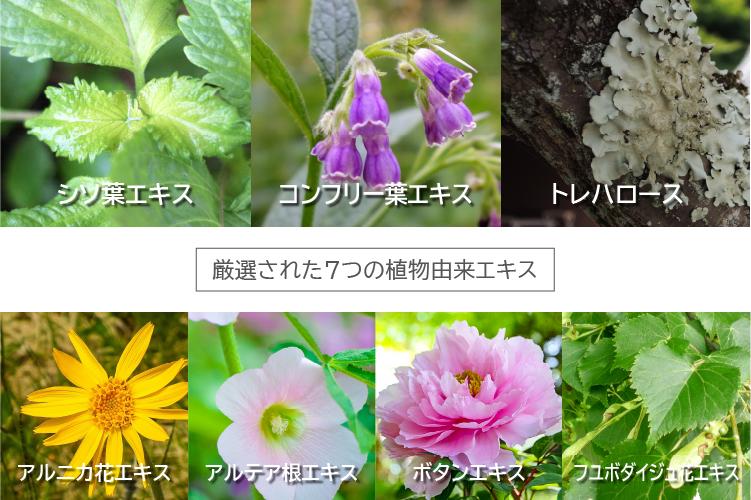 ピュアCEHジェル 厳選された７つの植物由来エキスイメージ