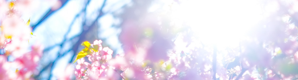 春の日差しイメージ