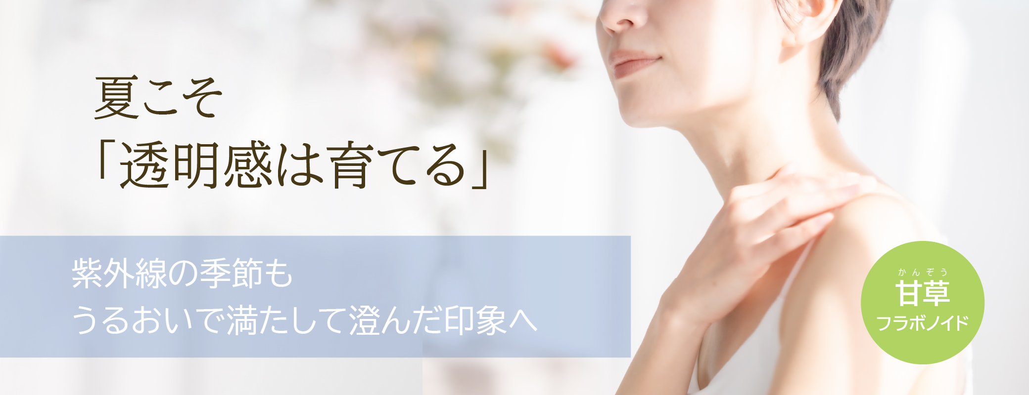  夏こそ「透明感は育てる」／紫外線の季節もうるおいで満たして澄んだ印象へ／甘草（かんぞう）
フラボノイド