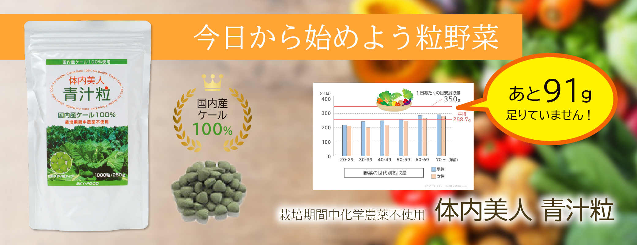 野菜、あと91g足りていません!?／今日から始めよう粒野菜 栽培期間中化学農薬不使用 体内美人 青汁粒 国内産ケール100％