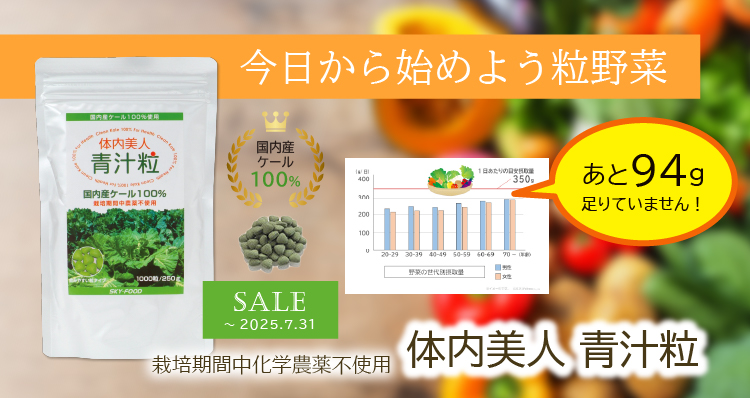 野菜、あと94g足りていません!?／今日から始めよう粒野菜 栽培期間中化学農薬不使用 体内美人 青汁粒 国内産ケール100％（～7/31まで特価）