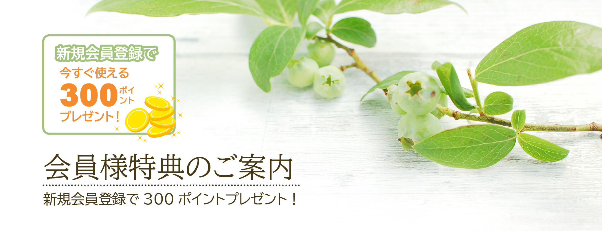 会員様特典のご案内／新規会員登録で今すぐ使える300ポイントプレゼント！