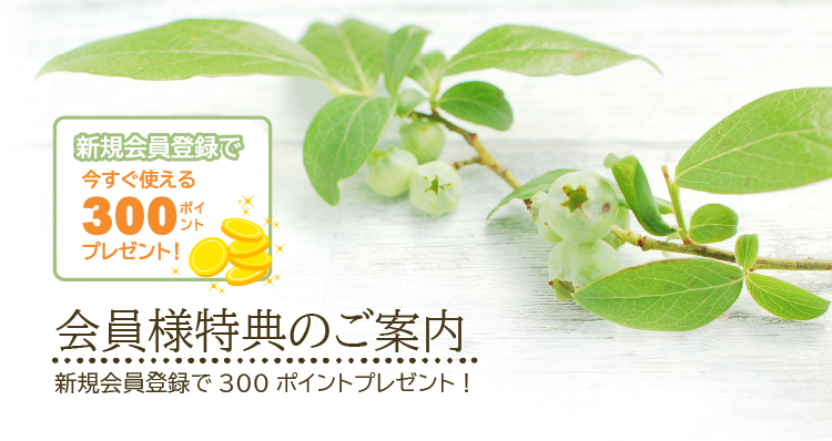 会員様特典のご案内/新規会員登録で今すぐ使える300ポイントプレゼント!