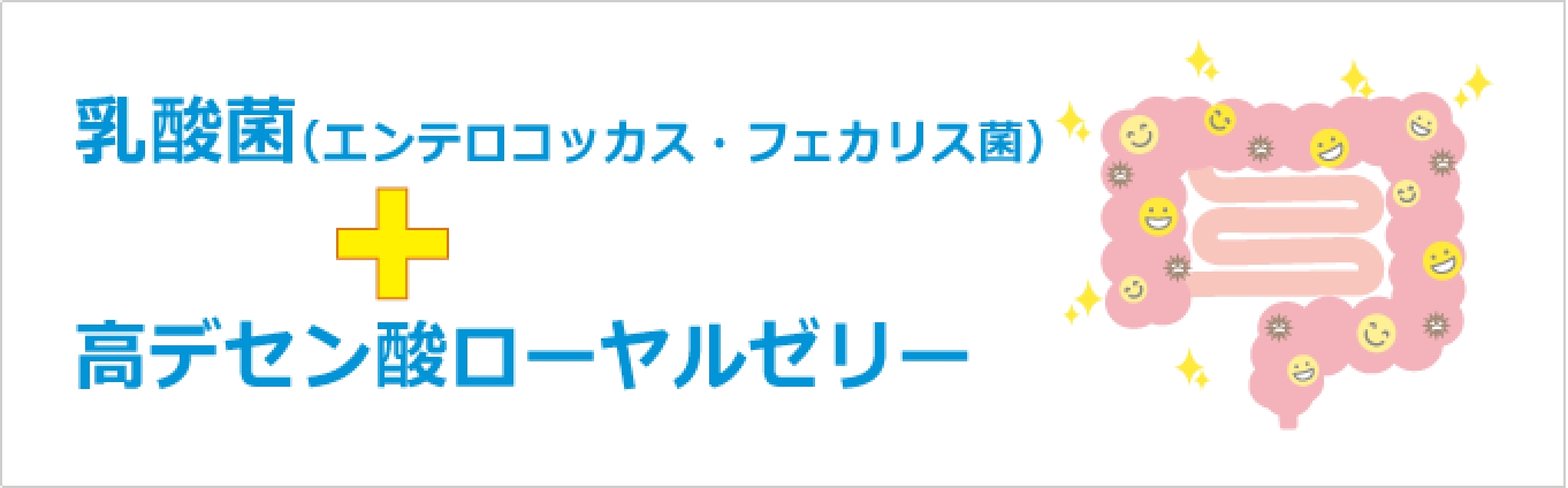 乳酸菌(エンテロコッカス・フェカリス菌)+高デセン酸ローヤルゼリー