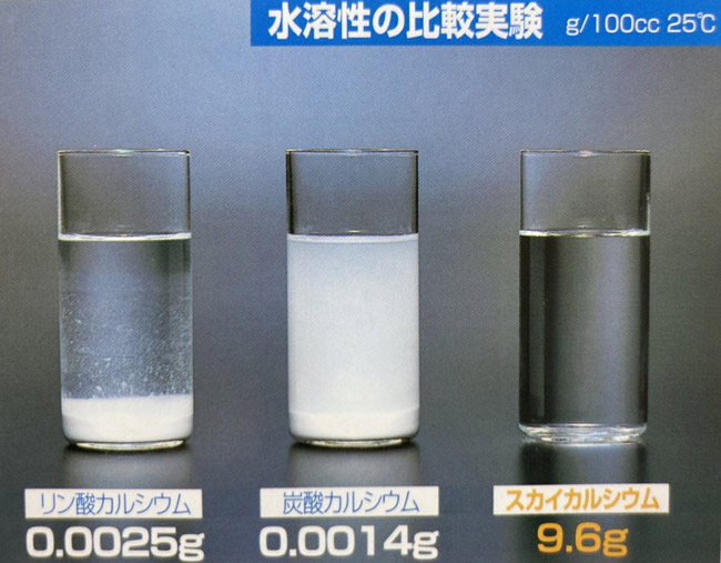 水溶性の比較実験