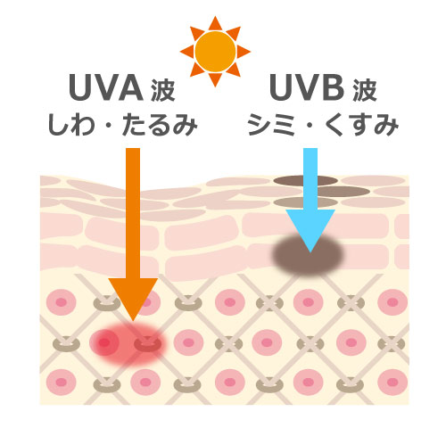 UVA波とUVB波の違い