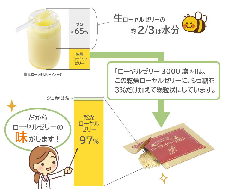 生ローヤルゼリーの約2/3は水分。「ローヤルゼリー3000凛」は、この乾燥ローヤルゼリーにショ糖を３％だけ加えて顆粒状にしています。だからローヤルゼリーの味がします！