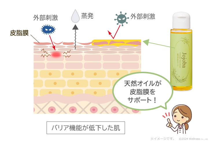 バリア機能が低下した肌に、天然オイルが皮脂膜をサポート