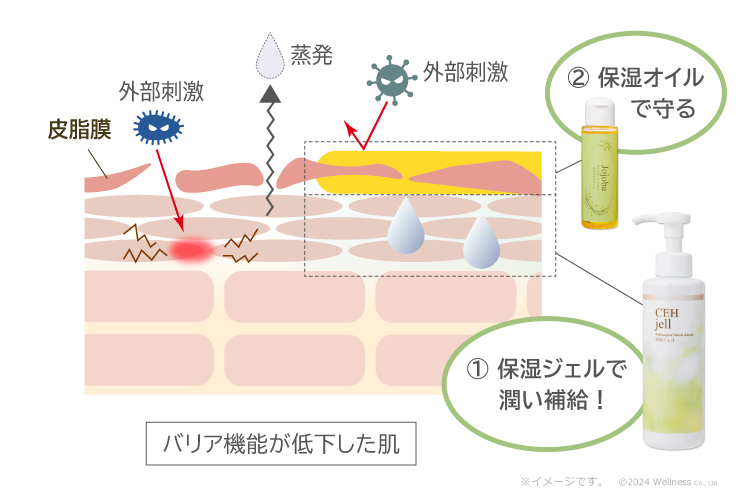 乾燥肌へ２つのケア