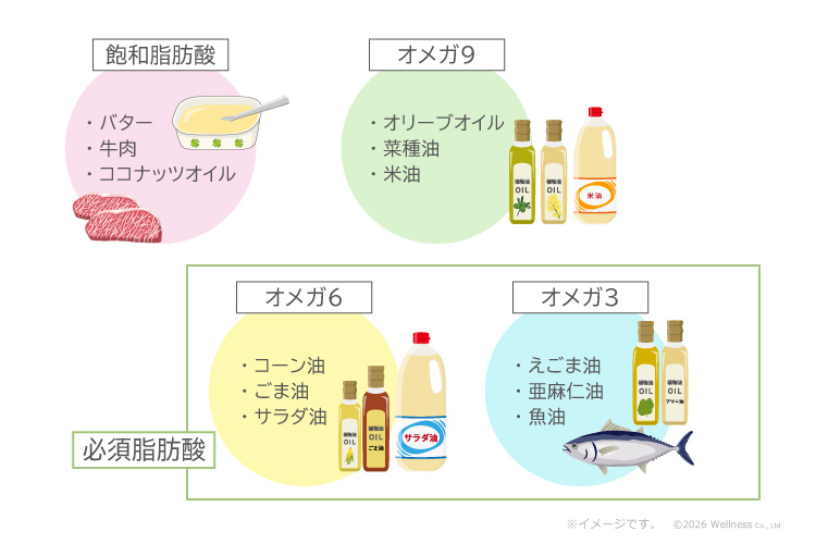 「飽和脂肪酸」バター・牛肉・ココナッツオイル、「オメガ9」オリーブオイル・菜種油・米油、【必須脂肪酸】「オメガ6」コーン油・ごま油・サラダ油、「オメガ3」えごま油・亜麻仁油・魚油