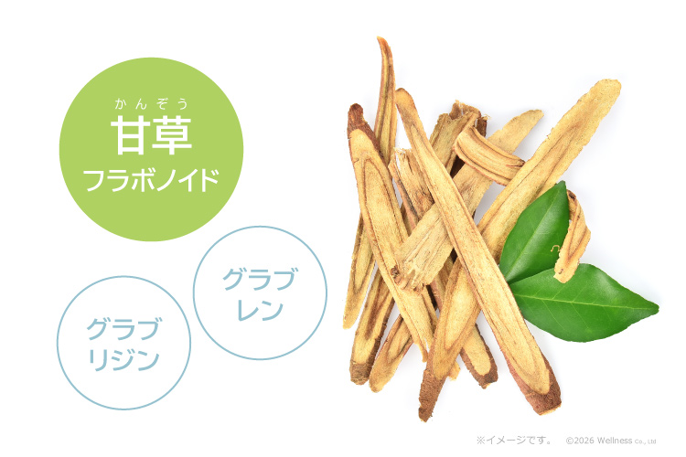 甘草の根から、グラブリジン・グラブレンを含む「甘草フラボノイド」が抽出できる