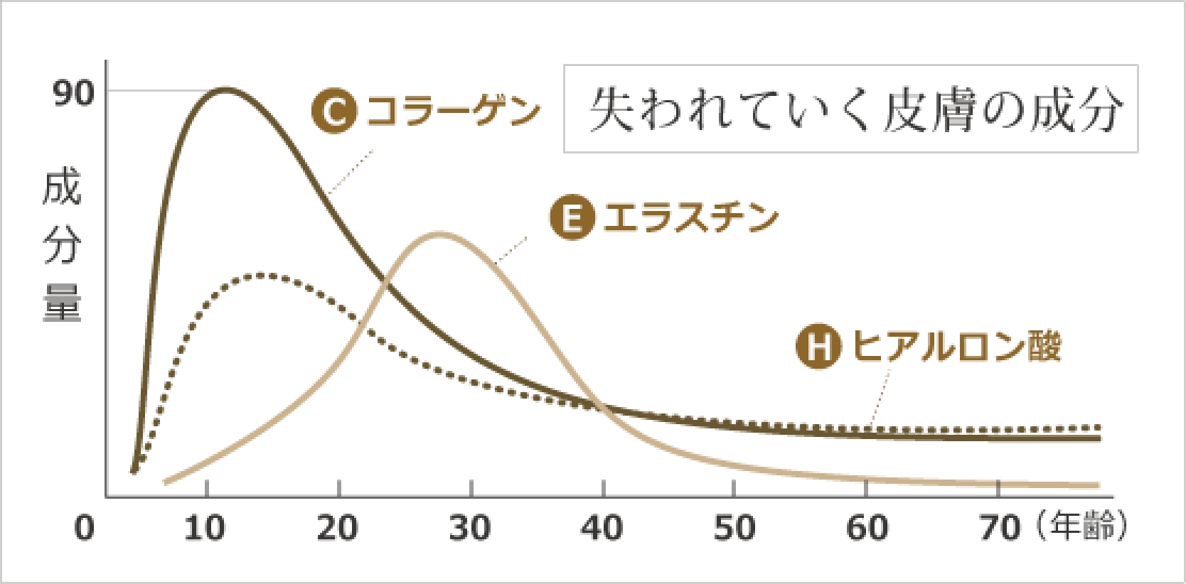 失われていく皮膚の成分