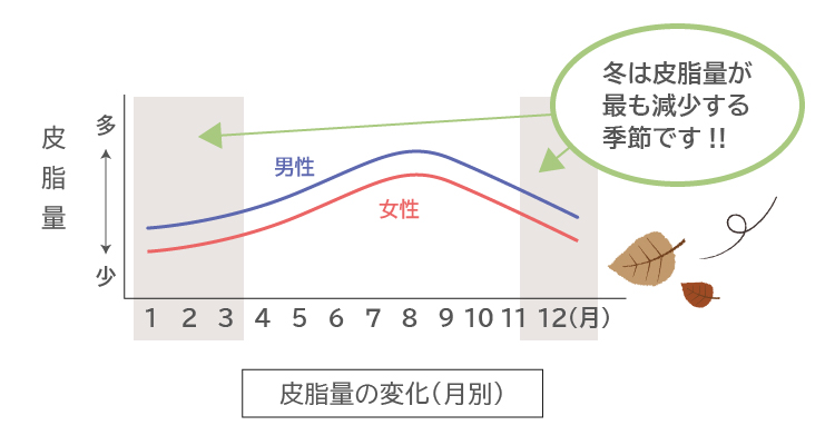 皮脂量の変化（月別）