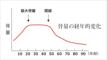 骨量の経年的変化