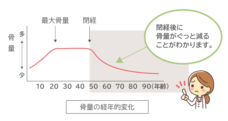 骨量の経年的変化