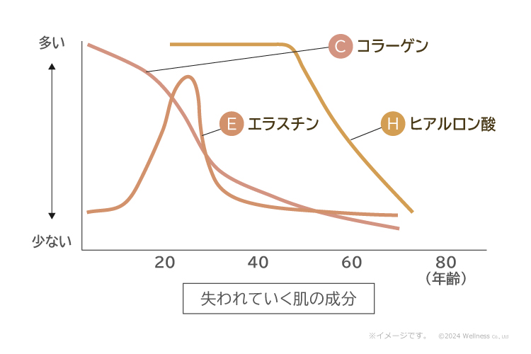 失われていく肌成分のグラフ