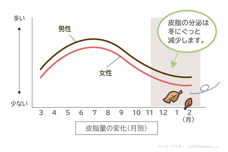 皮脂量の変化（月別）皮脂の分泌は冬にぐっと減少します