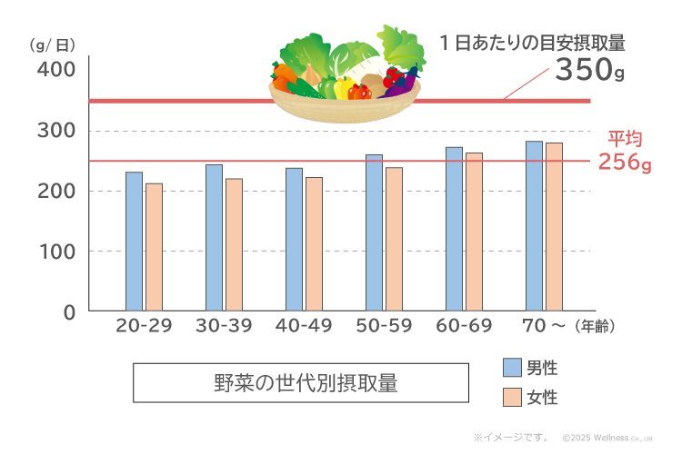 野菜の世代別摂取量のグラフ／一日あたりの目安摂取量は350g