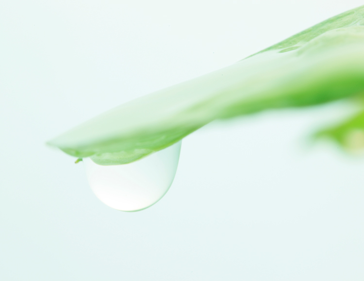 うるおうイメージ