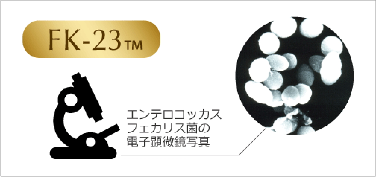 ラクトプライム FK23 1兆個とLFK 3000億個 - ダイエット食品