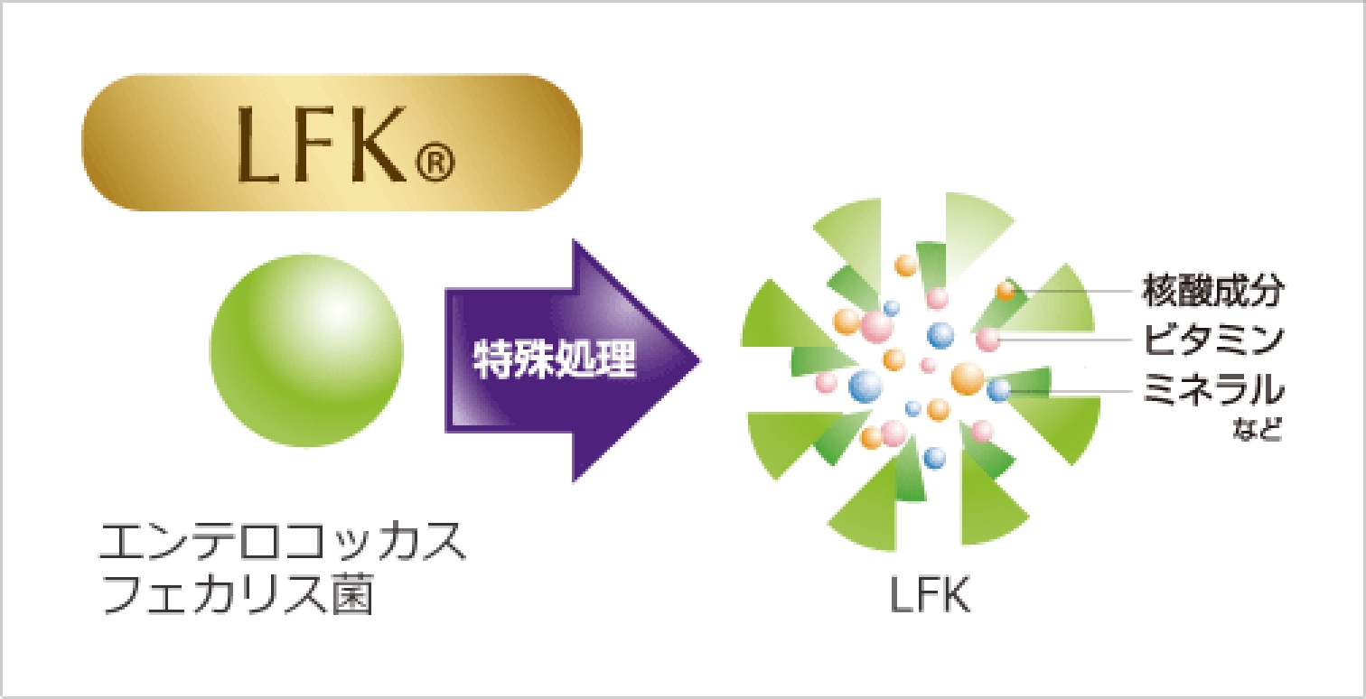 エンテロコッカスフェカリス菌に特殊処理をしたLFK