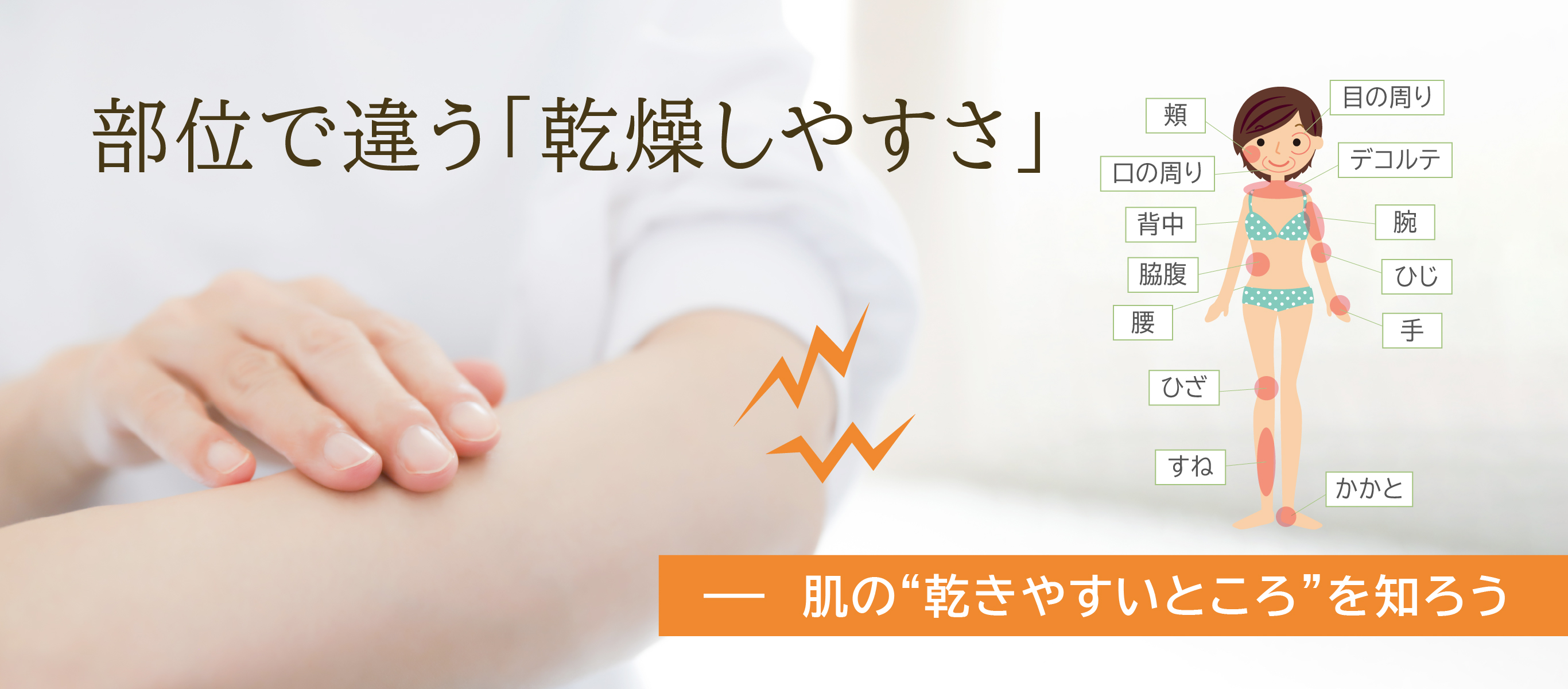 部位で違う「乾燥しやすさ」－肌の“渇きやすいところ”を知ろう 