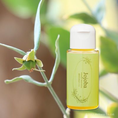 100％植物性ホホバオイル原液「ジョジョバ」 | ウェルネス 直営