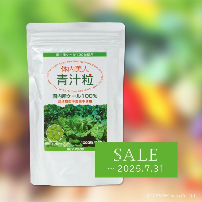 体内美人 青汁粒