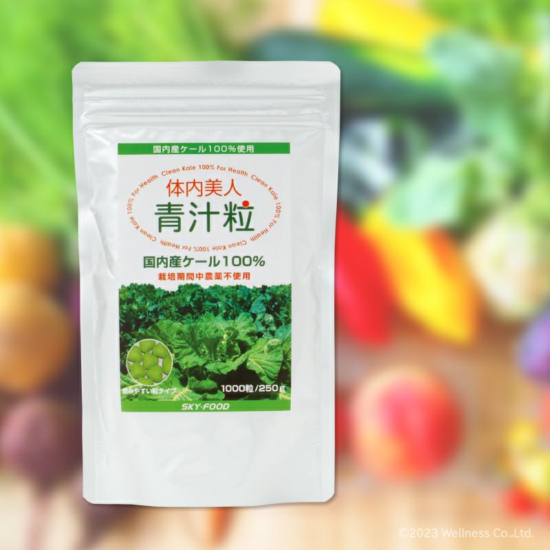 体内美人 青汁粒