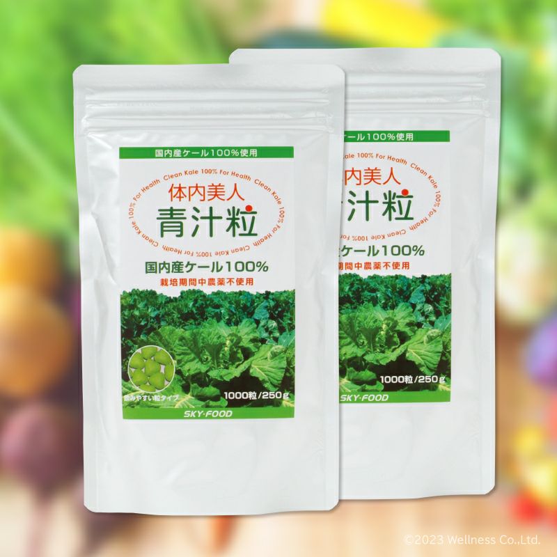 体内美人 青汁粒